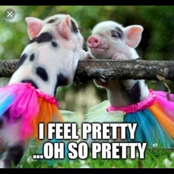 Meet your Posher, Miranda - Picture 4 of 5